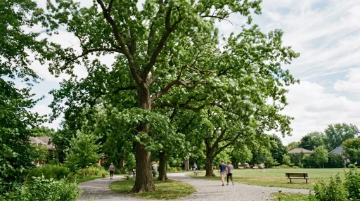 Mature park trees gently swaying in 25 mph wind breeze (AI Generated Image)